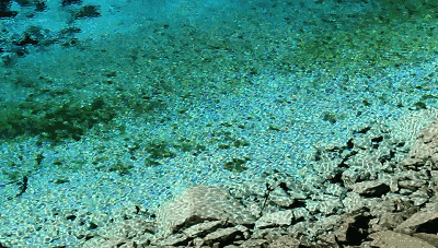 17-21) 芦苇海海拔2140米,全长2.2公里,是一个半沼泽湖泊.